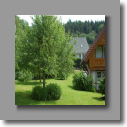 Wiese4