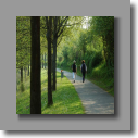 walking